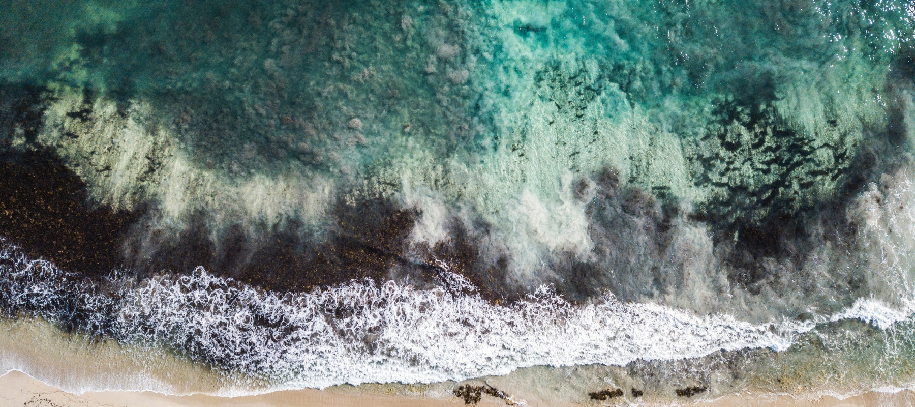 Los alginatos, ¿qué son?